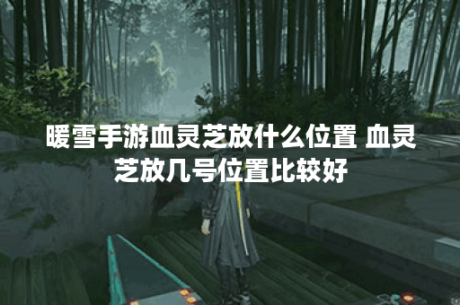 暖雪手游血灵芝放什么位置 血灵芝放几号位置比较好