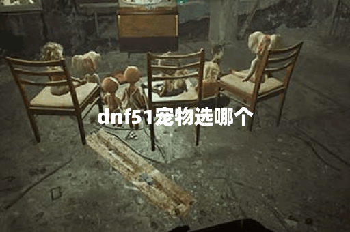 dnf51宠物选哪个
