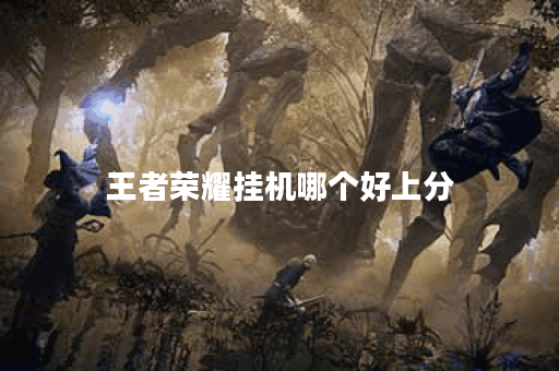 王者荣耀挂机哪个好上分