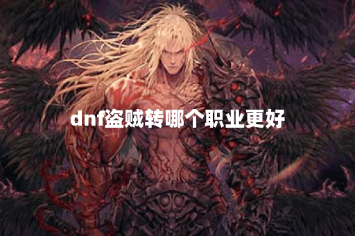 dnf盗贼转哪个职业更好