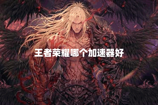 王者荣耀哪个加速器好