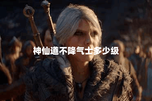 神仙道不降气士多少级