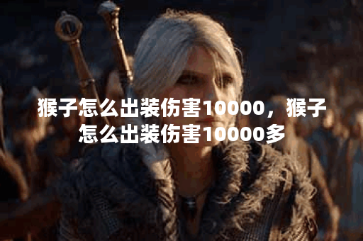 猴子怎么出装伤害10000，猴子怎么出装伤害10000多