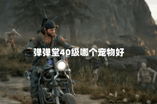 弹弹堂40级哪个宠物好