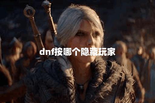 dnf按哪个隐藏玩家