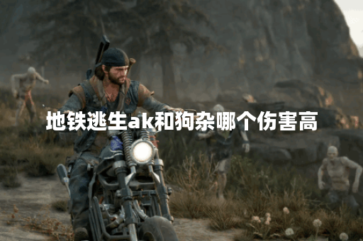 地铁逃生ak和狗杂哪个伤害高