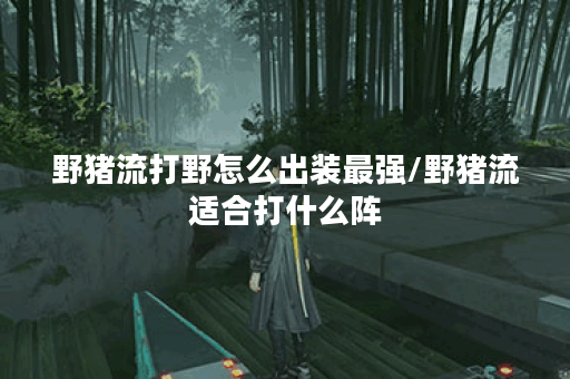 野猪流打野怎么出装最强/野猪流适合打什么阵