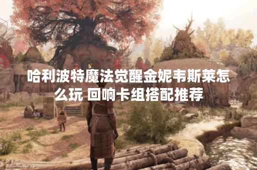 哈利波特魔法觉醒金妮韦斯莱怎么玩 回响卡组搭配推荐