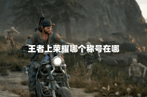 王者上荣耀哪个称号在哪