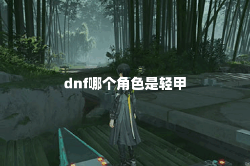 dnf哪个角色是轻甲