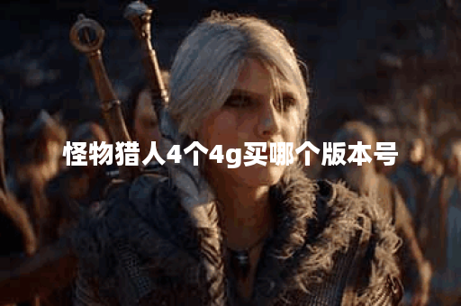 怪物猎人4个4g买哪个版本号