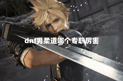 dnf男柔道哪个专职厉害