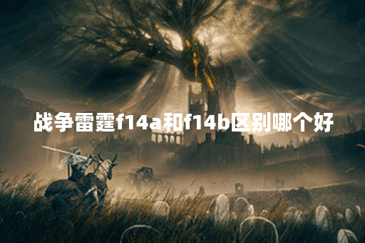 战争雷霆f14a和f14b区别哪个好