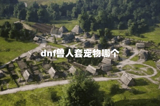 dnf兽人套宠物哪个
