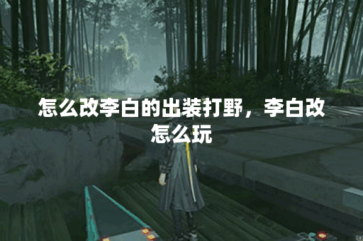 怎么改李白的出装打野，李白改怎么玩
