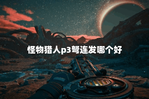 怪物猎人p3弩连发哪个好