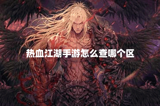 热血江湖手游怎么查哪个区
