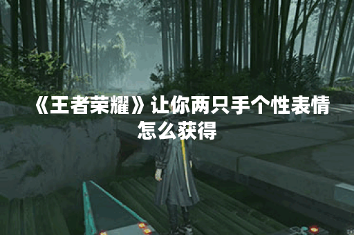 《王者荣耀》让你两只手个性表情怎么获得