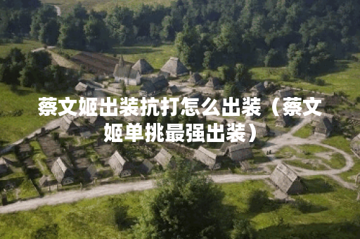 蔡文姬出装抗打怎么出装（蔡文姬单挑最强出装）