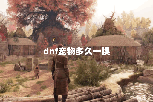 dnf宠物多久一换 dnf宠物多久一换