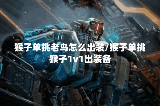 猴子单挑老鸟怎么出装/猴子单挑猴子1v1出装备