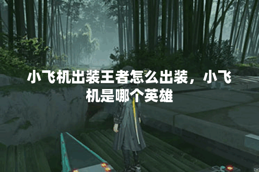 小飞机出装王者怎么出装，小飞机是哪个英雄