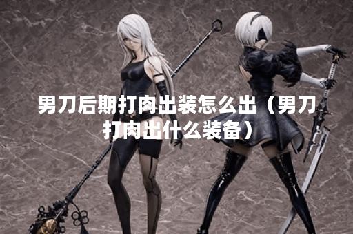 男刀后期打肉出装怎么出（男刀打肉出什么装备）