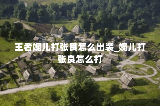 王者婉儿打张良怎么出装_婉儿打张良怎么打