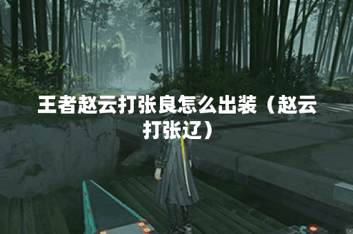 王者赵云打张良怎么出装（赵云打张辽）