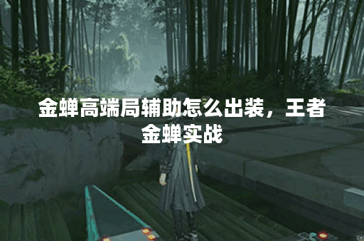 金蝉高端局辅助怎么出装，王者金蝉实战