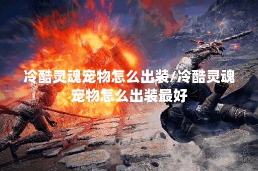冷酷灵魂宠物怎么出装/冷酷灵魂宠物怎么出装最好
