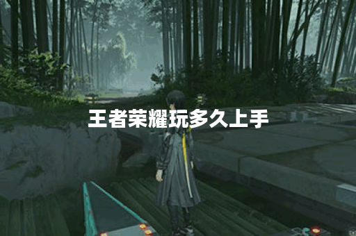 王者荣耀玩多久上手