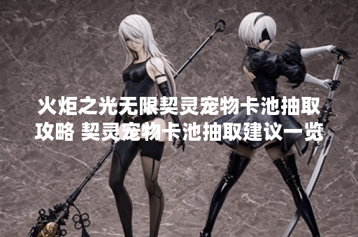 火炬之光无限契灵宠物卡池抽取攻略 契灵宠物卡池抽取建议一览 火炬之光无限契灵宠物卡池抽取攻略 契灵宠物卡池抽取建议一览