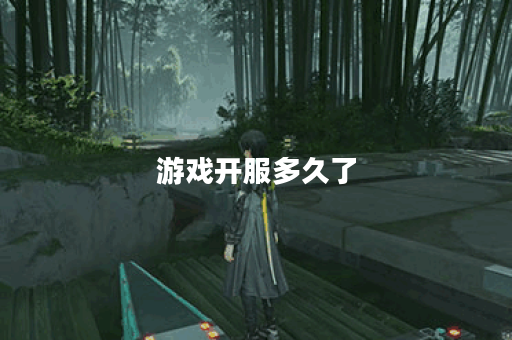 游戏开服多久了