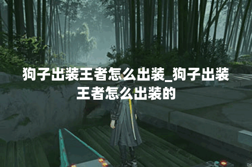 狗子出装王者怎么出装_狗子出装王者怎么出装的