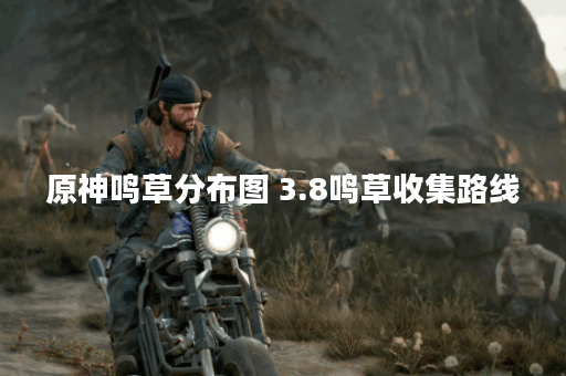 原神鸣草分布图 3.8鸣草收集路线