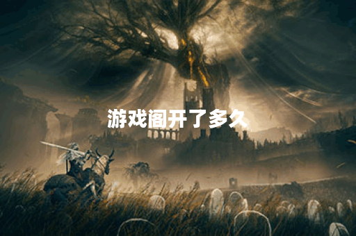 游戏阁开了多久