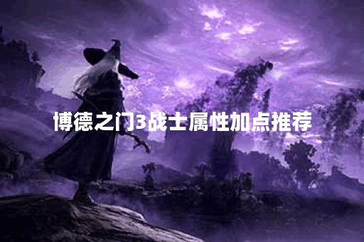 博德之门3战士属性加点推荐