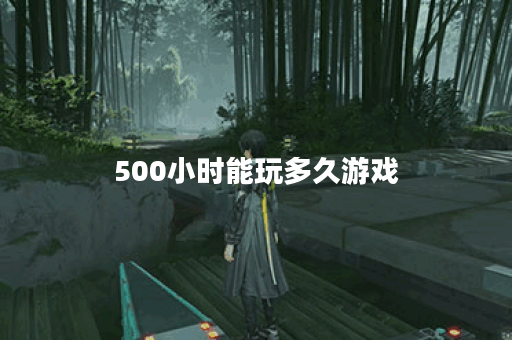 500小时能玩多久游戏