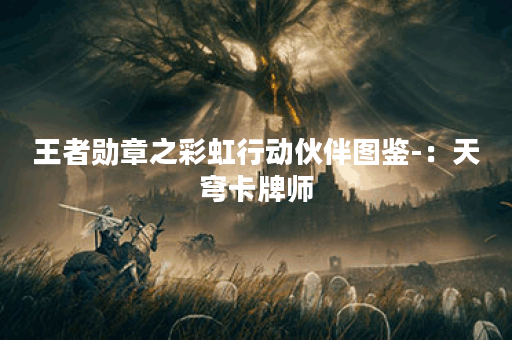 王者勋章之彩虹行动伙伴图鉴-：天穹卡牌师