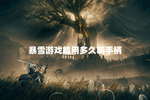 暴雪游戏能用多久啊手柄