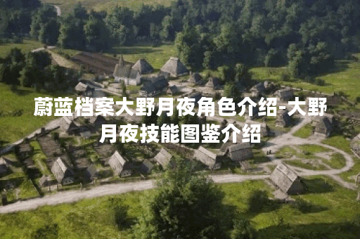 蔚蓝档案大野月夜角色介绍-大野月夜技能图鉴介绍