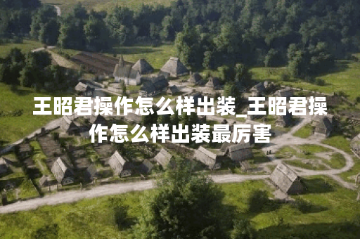 王昭君操作怎么样出装_王昭君操作怎么样出装最厉害