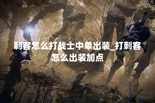 刺客怎么打战士中单出装_打刺客怎么出装加点