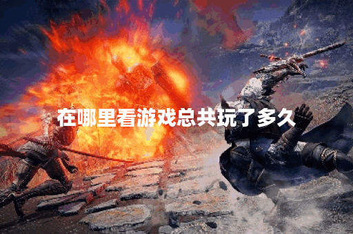 在哪里看游戏总共玩了多久