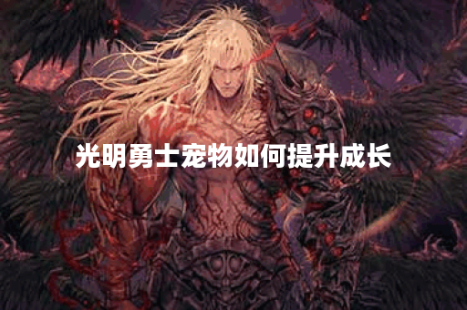 光明勇士宠物如何提升成长？