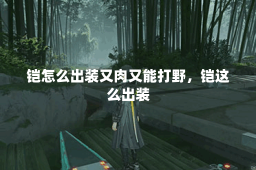 铠怎么出装又肉又能打野，铠这么出装