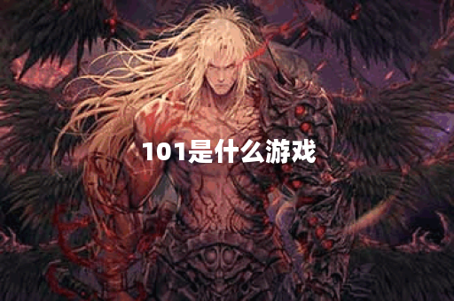 101是什么游戏