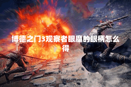 博德之门3观察者眼魔的眼柄怎么得