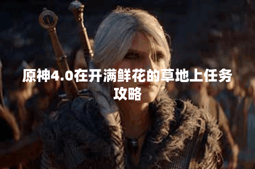 原神4.0在开满鲜花的草地上任务攻略 原神4.0在开满鲜花的草地上任务攻略